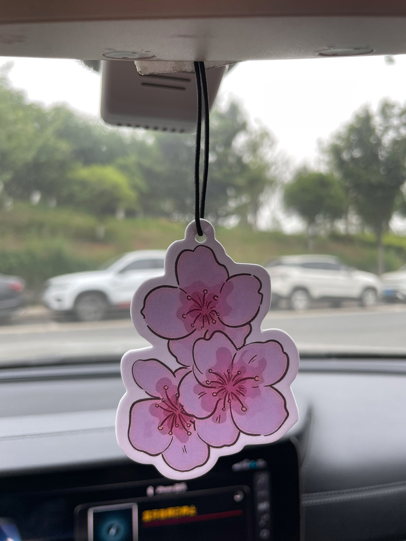 Sakura/Freesia Fresh Scent Fiv - Home Fragrance Non Toxic recension och pris